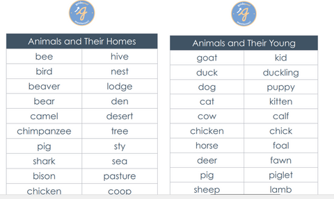 Word Study Charts