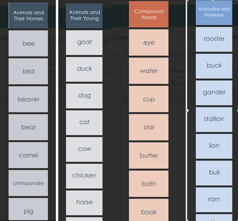 Word Study Cards