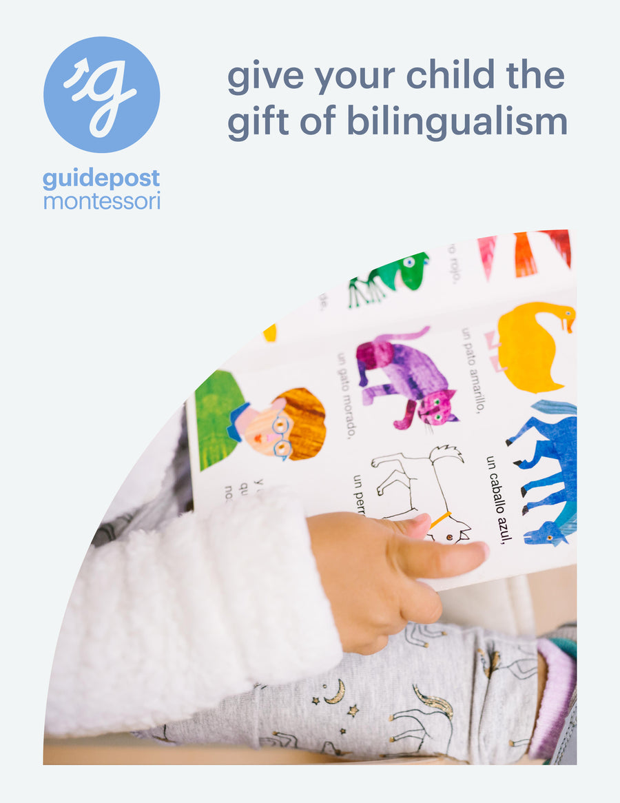 Guidepost Print - Languages Brochure (50/pack)